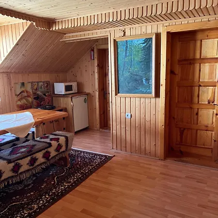 шовкова косиця *