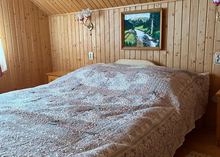 шовкова косиця *